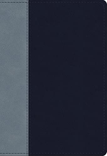 ESV Student Study Bible (Trutone, Navy/Slate, Timeless Design) by Esv Bibles, Imitation Leather book cover