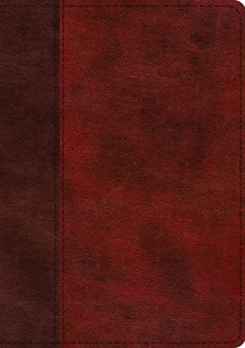 ESV Single Column Journaling Bible, Large Print (Trutone, Burgundy/Red, Timeless Design) by Esv Bibles, Imitation Leather book cover