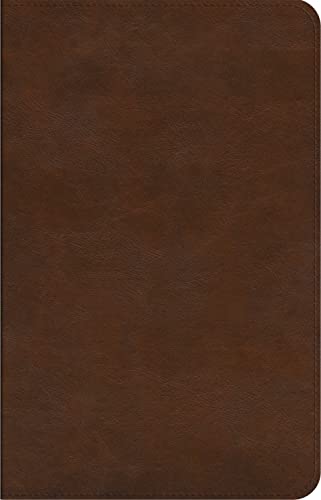 ESV Concise Study Bible(tm) (Trutone, Brown) by Esv Bibles, Imitation Leather book cover