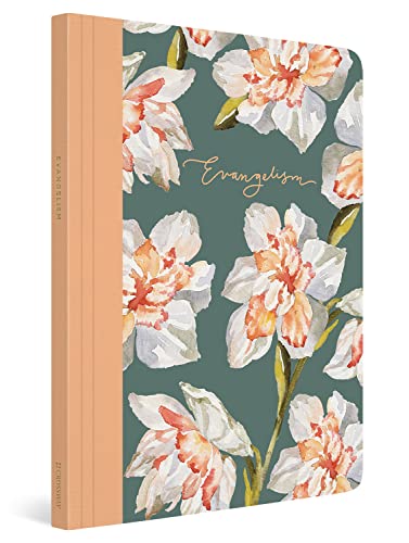 ESV Prayer Journal: 30 Days on Evangelism (Paperback) by Erika Allen, Paperback book cover