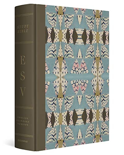 ESV Study Bible, Artist Series (Cloth Over Board, Jessica Dennis Bush, Interlude) by Jessica Dennis Bush, Hardcover book cover