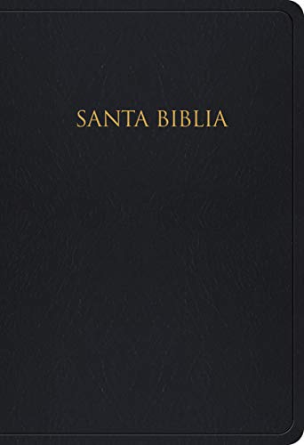 Biblia Para Regalos y Premios-Rvr 1960 by B&h Espanol Editorial, Imitation Leather book cover