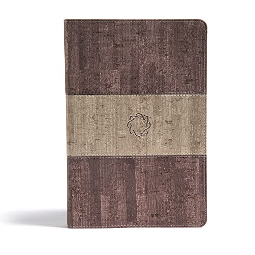 CSB Essential Teen Study Bible, Weathered Gray Cork Leathertouch by B&h Kids Editorial, Imitation Leather book cover