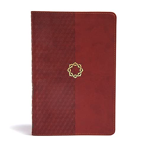 CSB Essential Teen Study Bible, Walnut Leathertouch by B&h Kids Editorial, Imitation Leather book cover