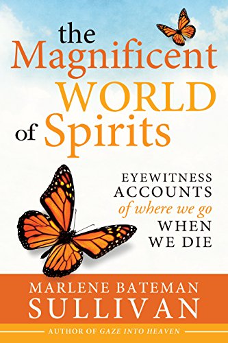The Magnificent World of Spirits: Eyewitness Accounts of Where We Go When We Die book cover