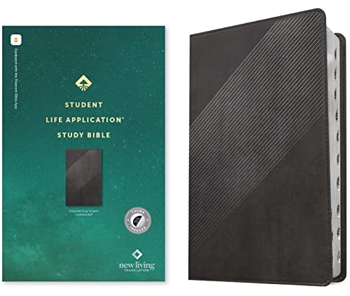 NLT Student Life Application Study Bible, Filament Enabled (Leatherlike, Charcoal Gray Striped, Indexed, Red Letter) by New Living Translation, Imitation Leather book cover