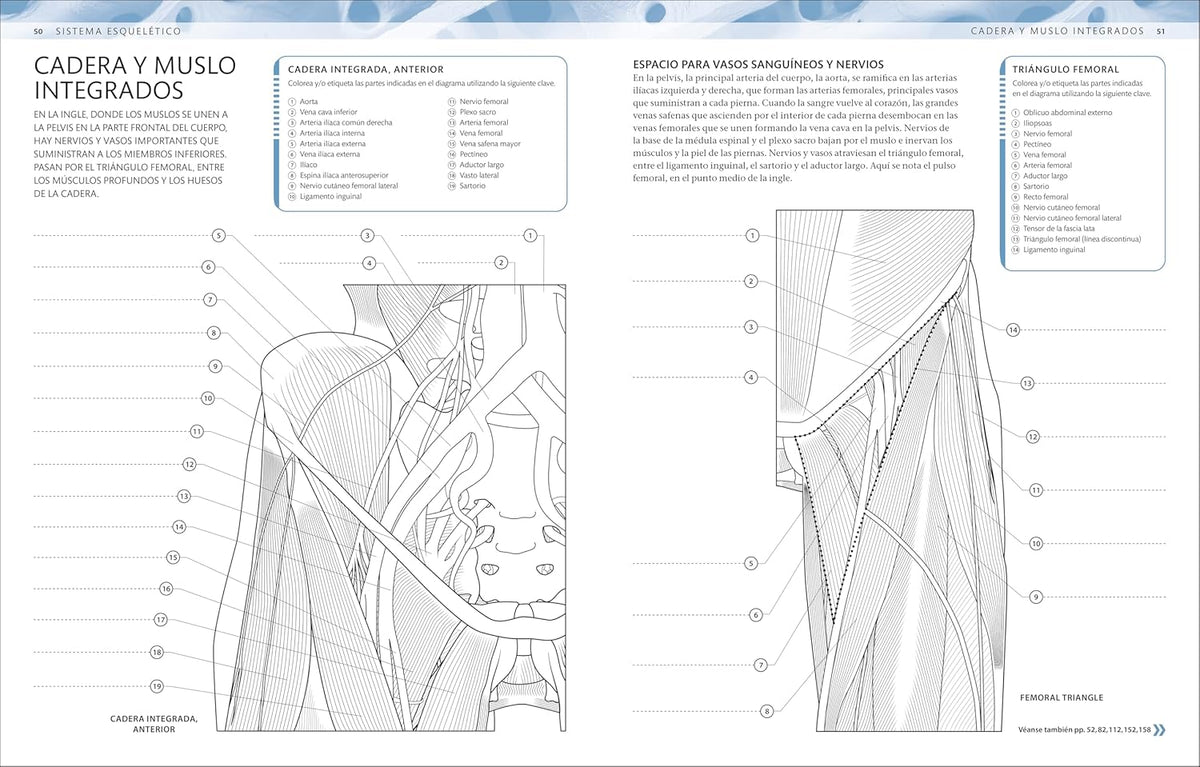 Atlas De Anatomía Para Colorear (The Human Body Coloring Book): Guía De Estudio (Spanish Edition)