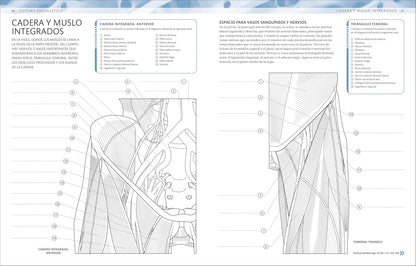 Atlas De Anatomía Para Colorear (The Human Body Coloring Book): Guía De Estudio (Spanish Edition)