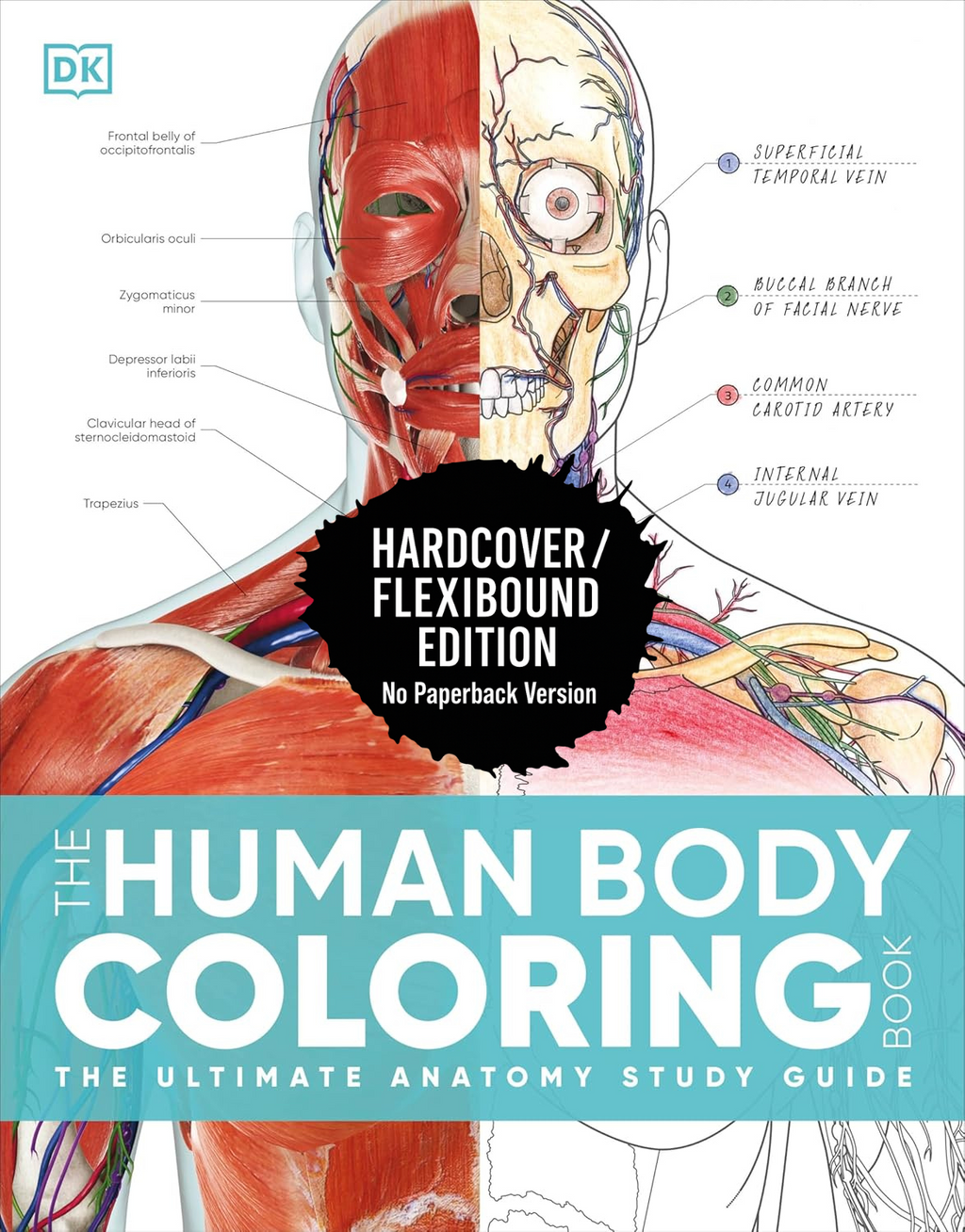 The Human Body Coloring Book — Anatomy Study Guide with Labeled Diagrams