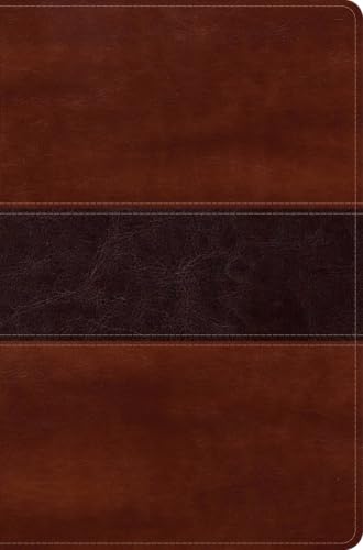 Rvr 1960 Biblia del Pescador Letra Grande, Caoba Simil Piel by Luis Angel Diaz-Pabon, Imitation Leather book cover
