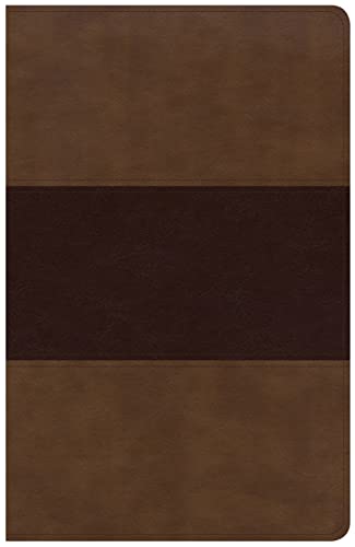 KJV Large Print Personal Size Reference Bible, Saddle Brown Leathertouch by Holman Bible Publishers, Imitation Leather book cover