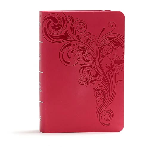 KJV Large Print Compact Reference Bible, Pink Leathertouch by Holman Bible Publishers, Imitation Leather book cover