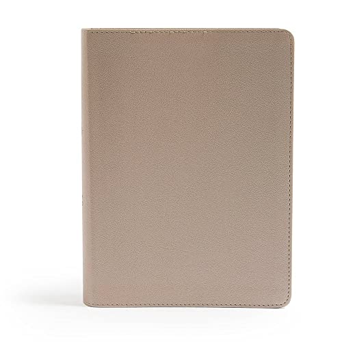 CSB She Reads Truth Bible, Champagne Gold Leathertouch: Notetaking Space, Devotionals, Reading Plans, Easy-To-Read Font by Raechel Myers, Hardcover book cover