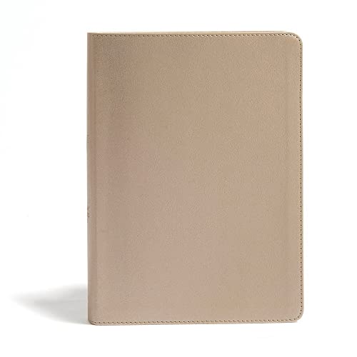 CSB She Reads Truth Bible, Champagne Gold Leathertouch, Indexed: Notetaking Space, Devotionals, Reading Plans, Easy-To-Read Font by Raechel Myers, Hardcover book cover