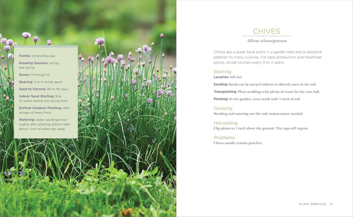 Raised-Bed Gardening for Beginners: Your Guide to Growing Sustainability and Self-Sufficiency