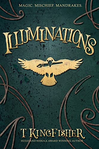 Illuminations book cover