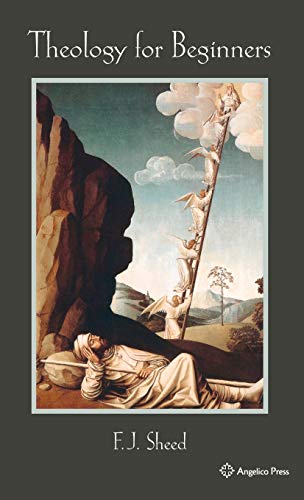Theology for Beginners book cover