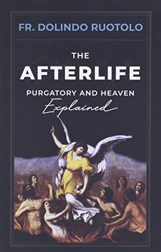 The Afterlife: Purgatory and Heaven Explained book cover
