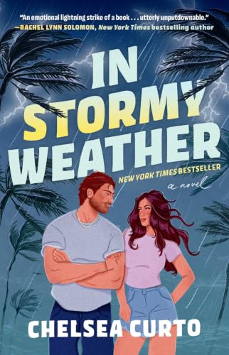 In Stormy Weather book cover