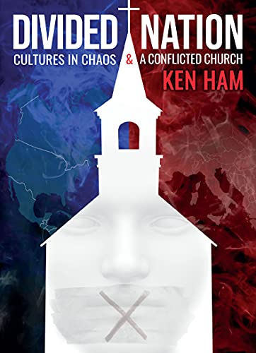Divided Nation: Cultures in Chaos & a Conflicted Church book cover