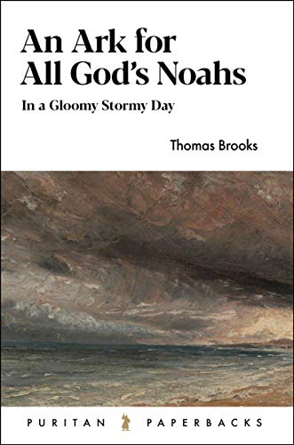 An Ark for All God's Noahs: In a Gloomy, Stormy Day book cover