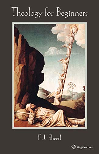 Theology for Beginners book cover