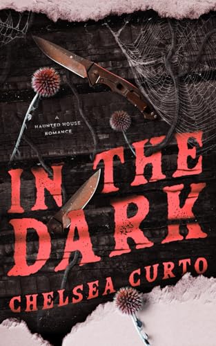 In The Dark book cover