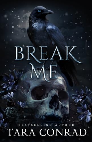 Break Me book cover