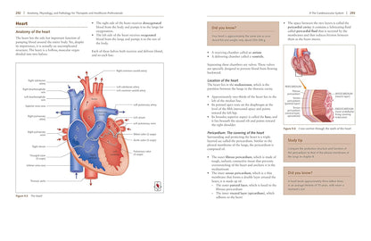 Clear and accessible anatomy reference covering the body's systems