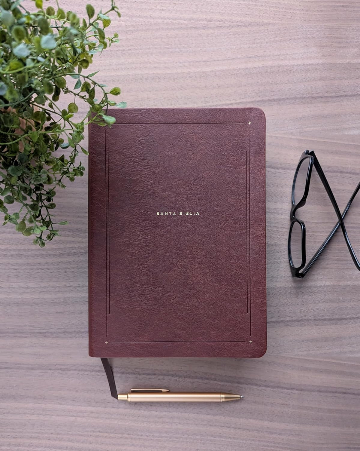 Biblia De Estudio Del Diario Vivir NTV (Sentipiel, Café, Letra Roja) (Spanish Edition)