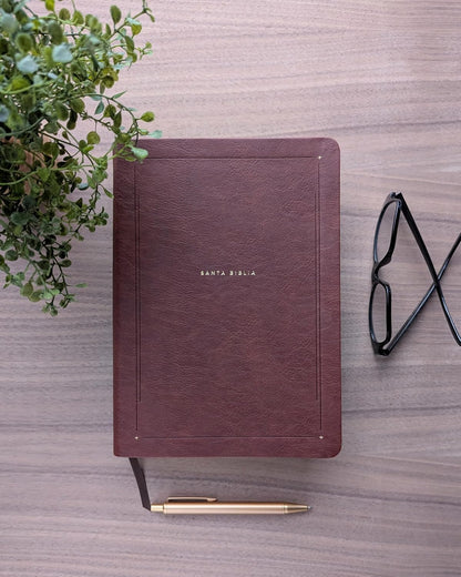 Biblia De Estudio Del Diario Vivir NTV (Sentipiel, Café, Letra Roja) (Spanish Edition)