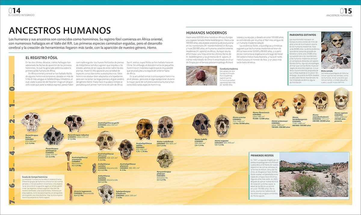 El Gran Libro Del Cuerpo Humano — guía ilustrada del cuerpo humano en español