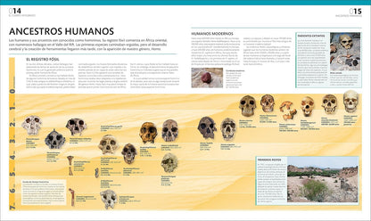 El Gran Libro Del Cuerpo Humano — guía ilustrada del cuerpo humano en español