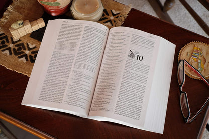 The One Year Bible NLT (Softcover): the Entire Bible in 365 Readings in the Clear and Trusted New Living Translation (One Year Bible: New Living Translation-2)