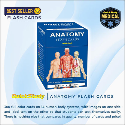 Anatomy Flash Cards QuickStudy reference deck