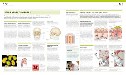 The Complete Human Body: the Definitive Visual Guide (DK Human Body Guides)
