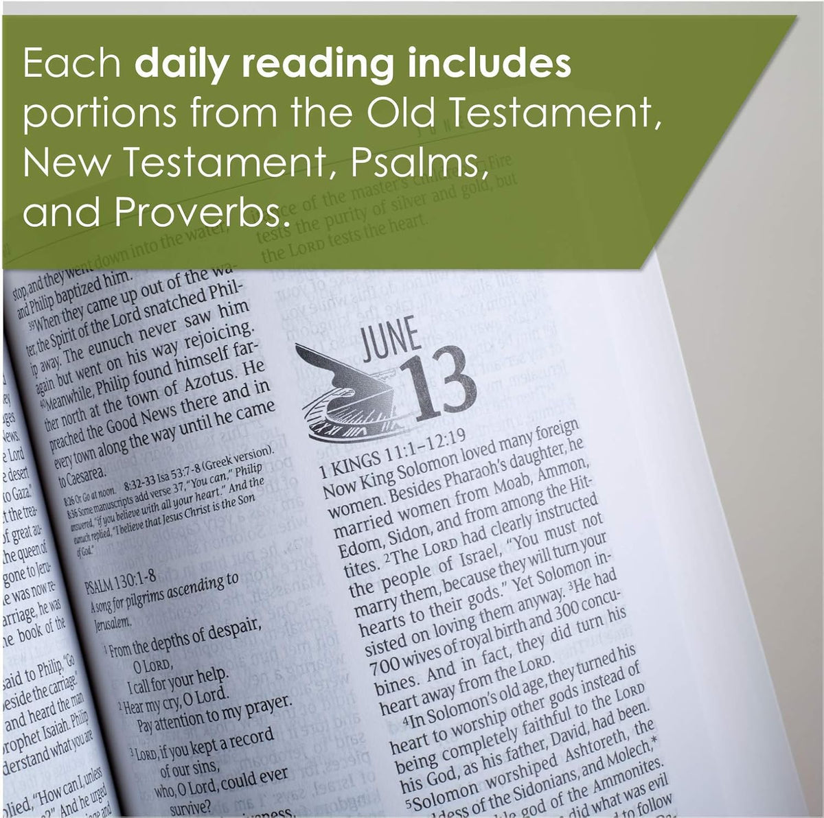 The One Year Bible NLT (Softcover): the Entire Bible in 365 Readings in the Clear and Trusted New Living Translation (One Year Bible: New Living Translation-2)