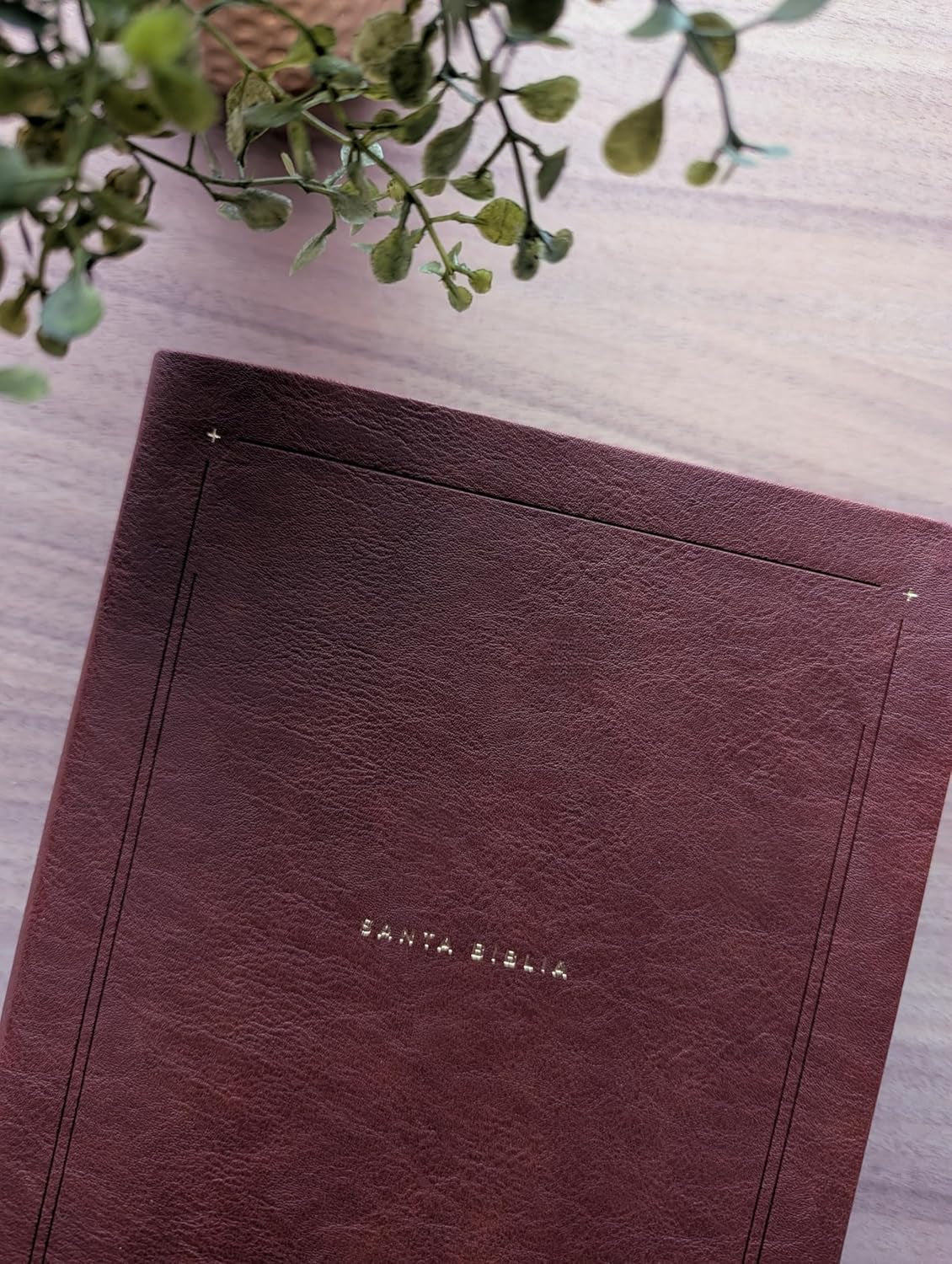 Biblia De Estudio Del Diario Vivir NTV (Sentipiel, Café, Letra Roja) (Spanish Edition)