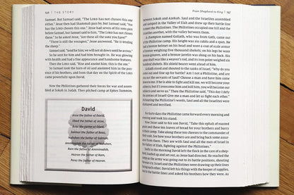NIV, the Story, Hardcover, Comfort Print: the Bible as One Continuing Story of God and His People