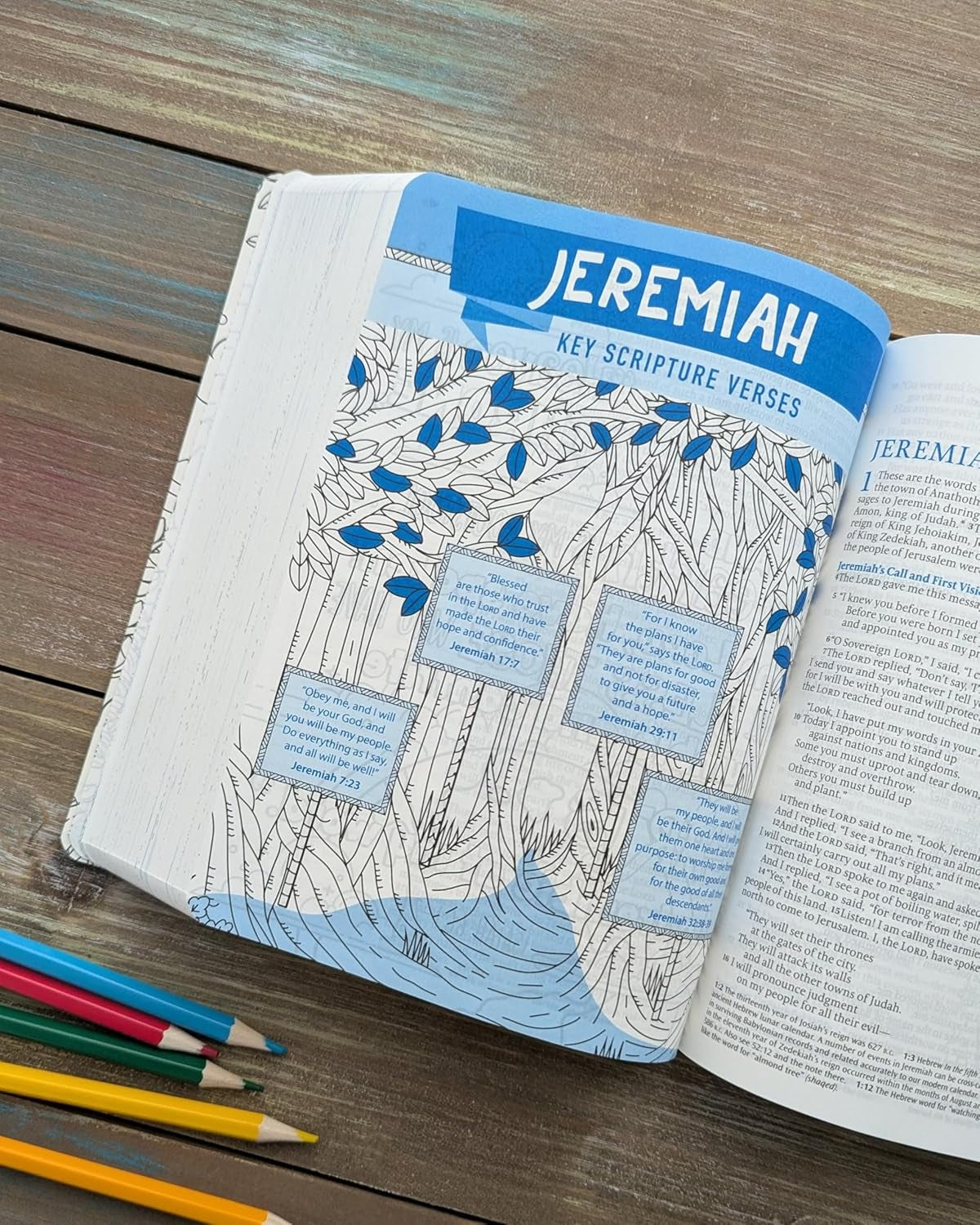 Inspire Bible for Kids NLT (Softcover): the Bible for Coloring & Creative Journaling