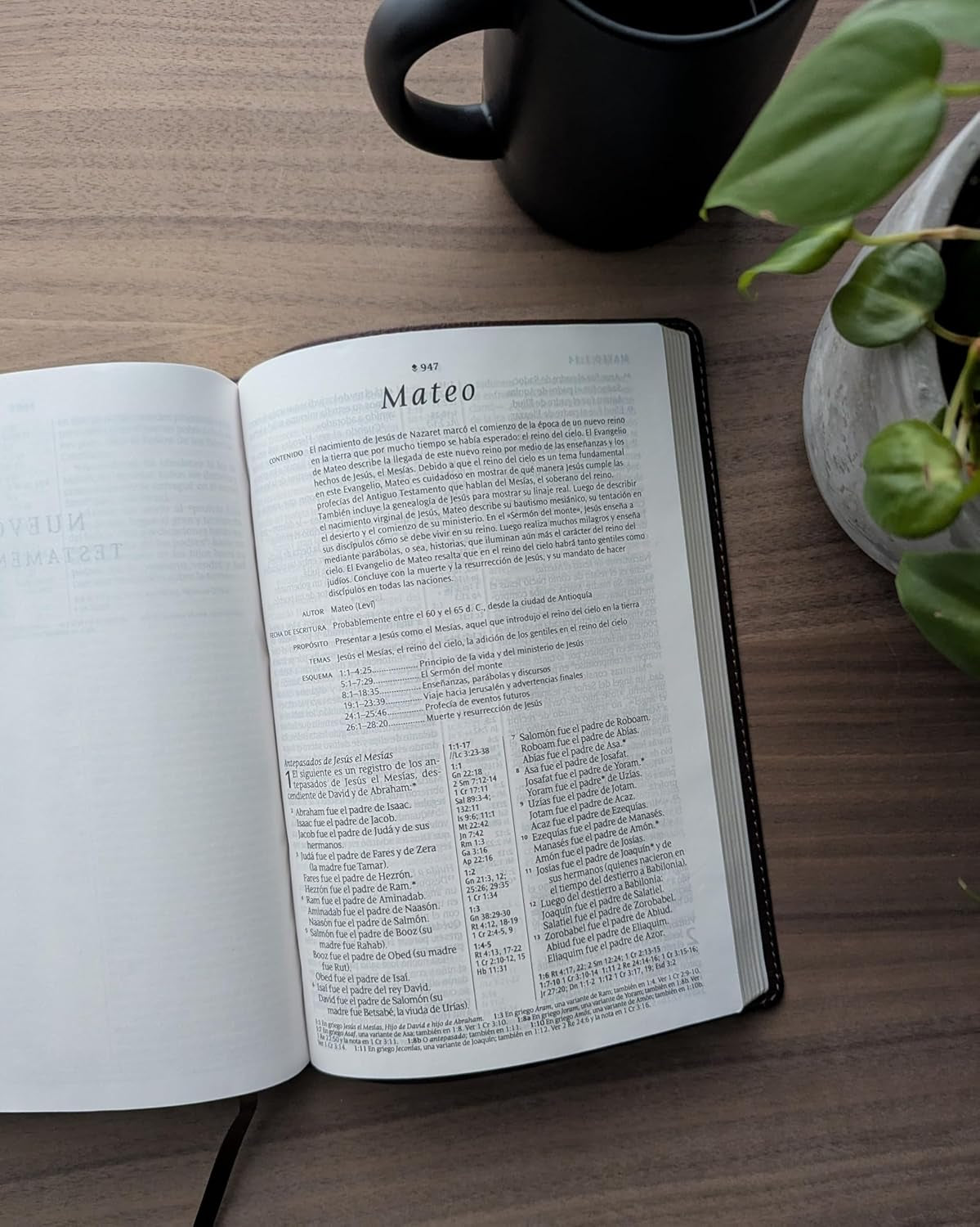 Biblia De Referencia En La Columna Central NTV, Letra Grande Con Filament (Sentipiel, Café, Letra Roja) (Spanish Edition)