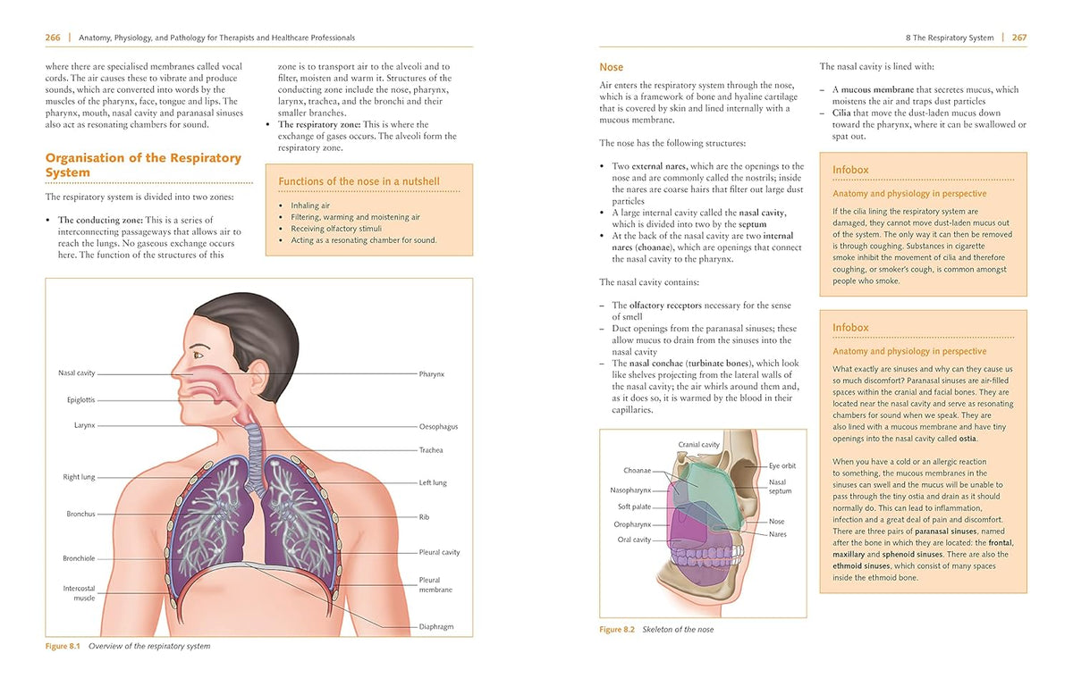 Full-colour anatomy and physiology guide for coursework revision