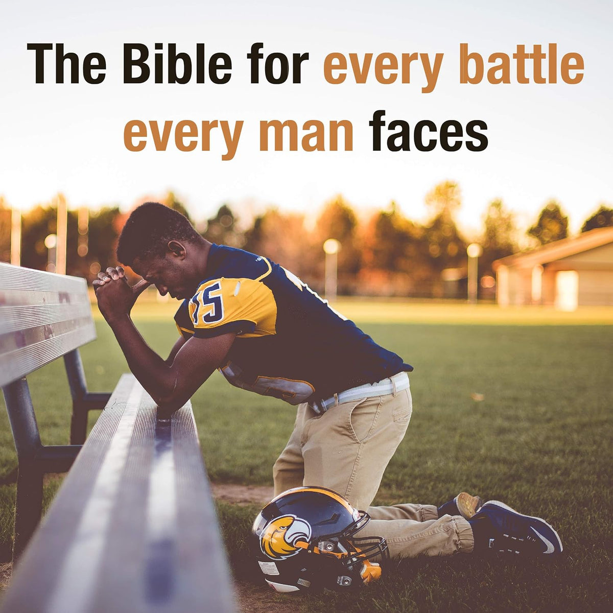 Every Man'S Bible NIV, Deluxe Heritage Edition, Tutone (Leatherlike, Brown/Tan)
