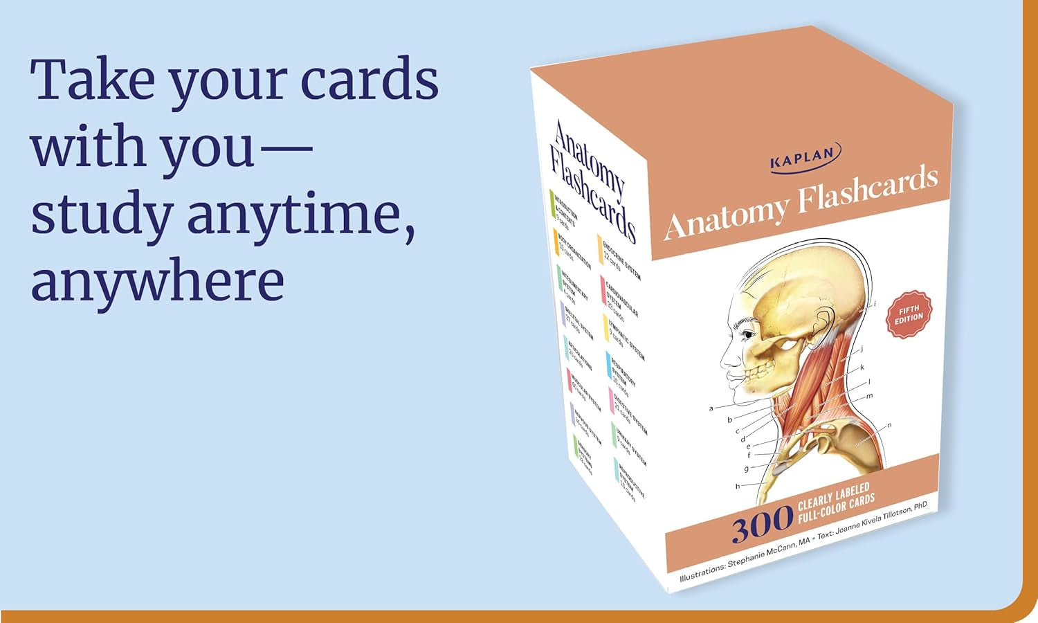 Anatomy Flashcards: 300 Flashcards with Anatomically Precise Drawings and Exhaustive Descriptions