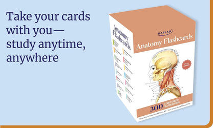Anatomy Flashcards: 300 Flashcards with Anatomically Precise Drawings and Exhaustive Descriptions