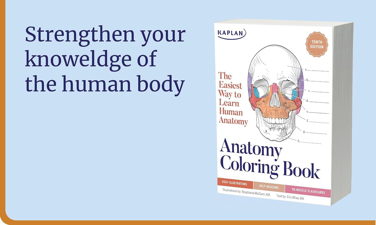Anatomy Study Bundle: Flashcards + Coloring Book | Kaplan Anatomy Combo