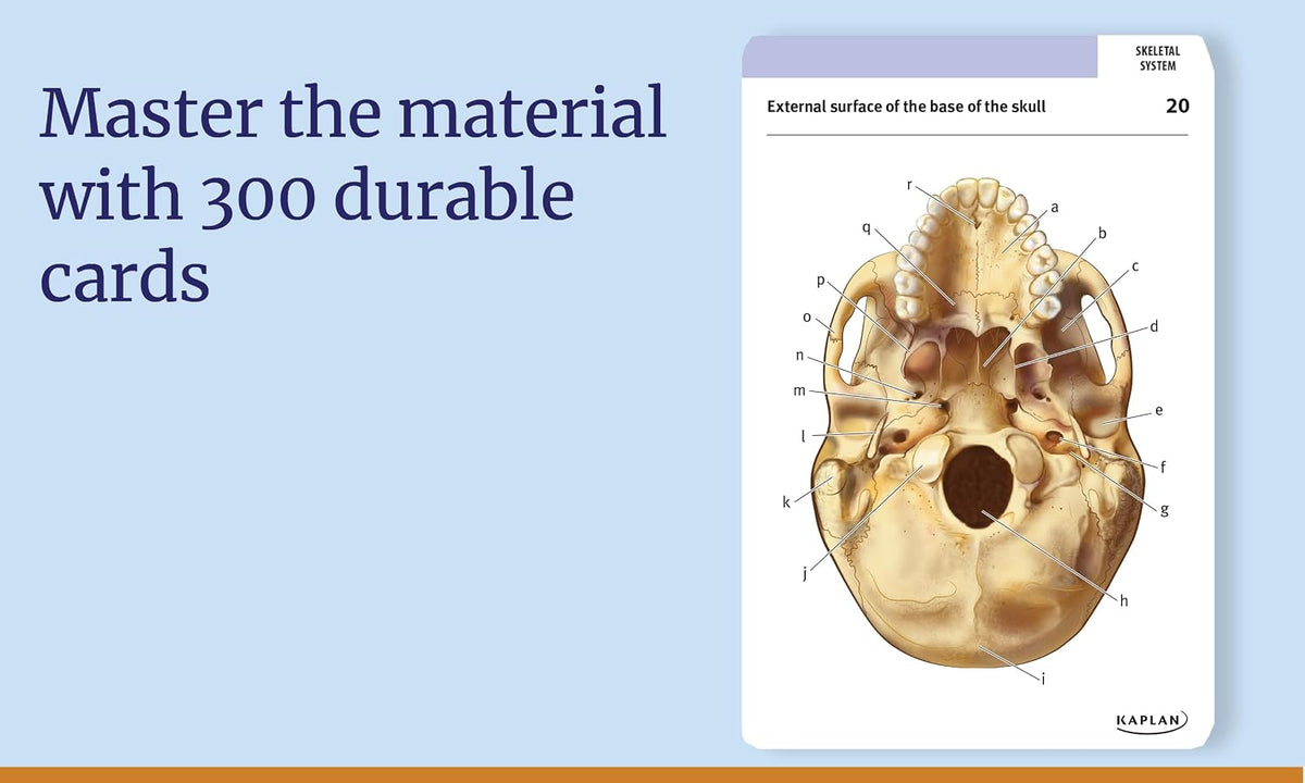 Anatomy Study Bundle: Flashcards + Coloring Book | Kaplan Anatomy Combo