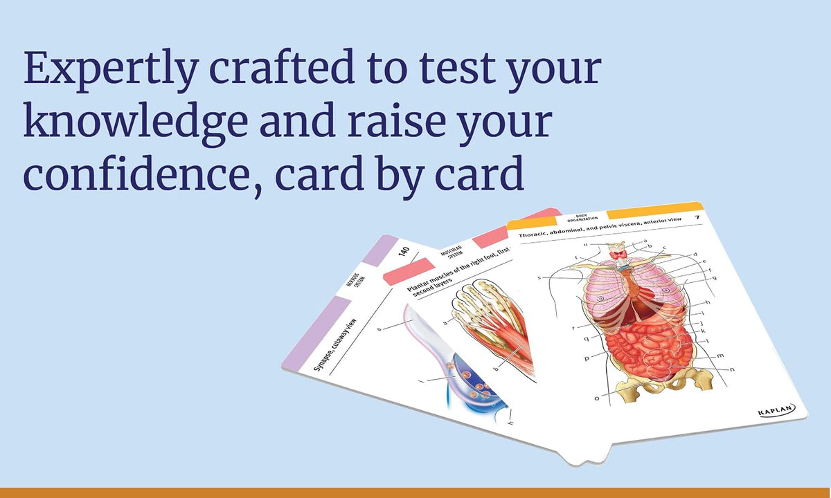 Anatomy Study Bundle: Flashcards + Coloring Book | Kaplan Anatomy Combo