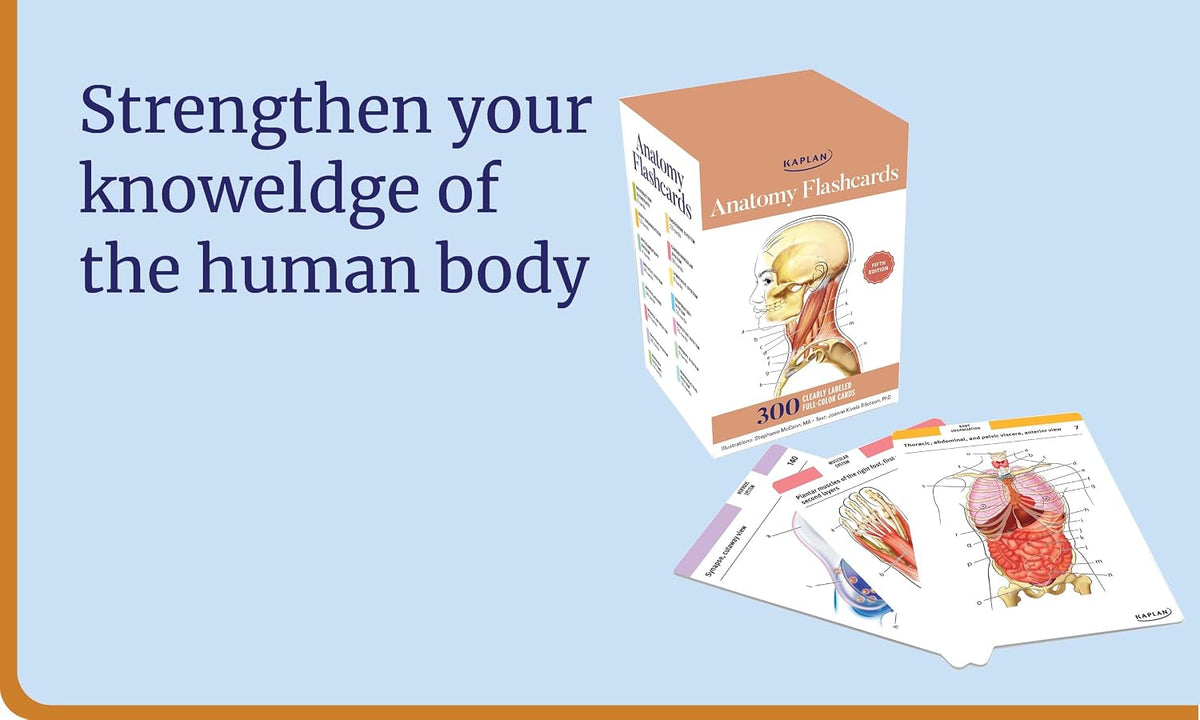 Anatomy Study Bundle: Flashcards + Coloring Book | Kaplan Anatomy Combo