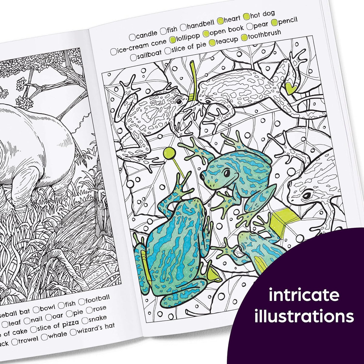 Hidden in Nature: a Cozy Hidden Pictures Coloring Book for Adults with Relaxing Nature Scenes, Intricate Hidden Pictures Puzzles and Stress-Relief Coloring Fun